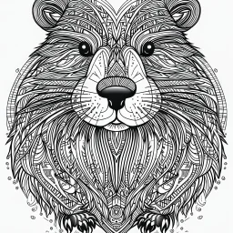 Beaver, front view, mandala, minimal lines, cartoon, white back ground color, real style, realistic, minimalistic, minimal black line art, line art, crisp line art, unique coloring sheet, outlined, outline, crisp, crisp line edges, illustration, thin lines, crisp clear lines, line art, clean line art, unique, 8k, amazing, masterpiece, no colors, no dark color, no black color, avoid thick black, minimalistic line edges, pure white back ground, image character full fit to page,