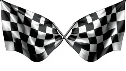 2 checkered flags crossed , black and white vector