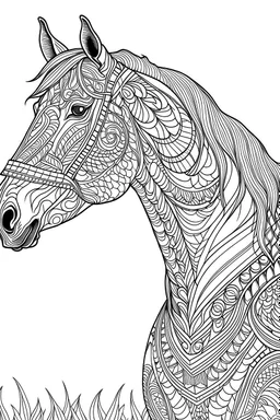 Coloring book of a horse