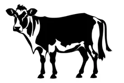 Holstein cow clipart style simple stencil