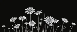 linework daisies, flowing in the wind, spring, simplified, patterned, thicker lines