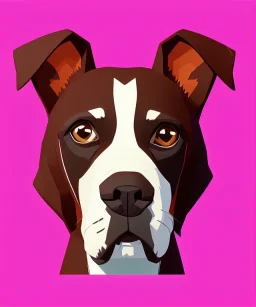 Adorable dog sitting, one colour background