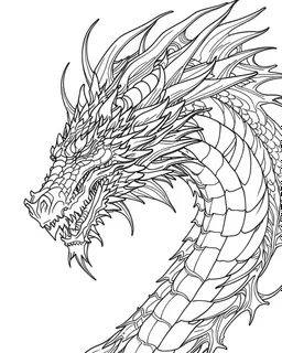 I need a dragon outline ,no shadow only clear outline and backgroun