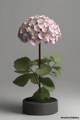 an isolated translucent hydrangea plant, 3d render, art nouveau style, ultra realistic, masked transparent flat background, backlight, popular on sketchfab, pixelsquid, 8k, volumetric lighting, super focused, no blur, trending on artstation, octane render, ultra detailed, hyperrealistic, by artgerm and alphonse mucha