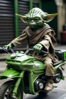 Yoda on a Motorbike Full Bike