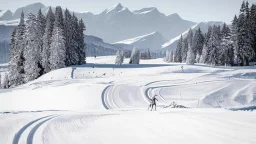 mountain range by pontormo