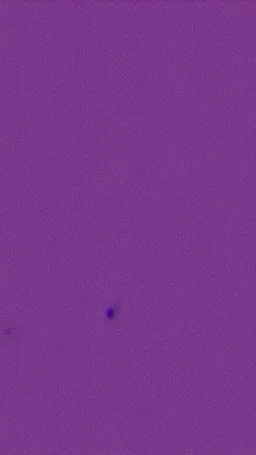 fox nion purple