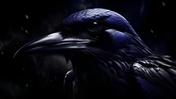 nfl team ravens darkness is everything wallpaper