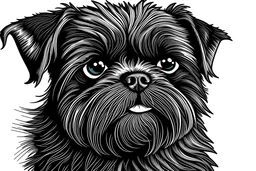 A line art of a dog (Affenpinscher). make this black and white and a bit filly. make the full image.