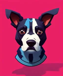 Cute dog, one colour background