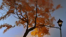 fall tree wonder Streetlight by Andrea del sarto