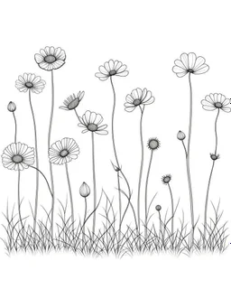 set of growing wind flower on the grace on ground, ONE lineS art, white background, minimalis, different view, only white bakcground solid.black ink