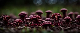 Fungus Zombies in an ER, Alberta, scientist, Dystopian, Hyper detailed, Realistic, Extreme depth of field, bokeh blur, Alberta all-natural, in the style of candid, imperfection, natural lighting, cinematic, Fuji Film, Anamorphic lens, 2040s, --ar 4:5 --w 150 --style raw