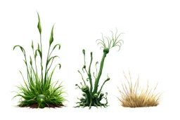 "Isolated concept art of multiple types of alien grass on a plain neutral background. Designed for different biomes: Forest biome – lush, dense, tall grass with strange broad blades, glowing tips, and twisted leaves. Swamp biome – slimy, wet, moss-like grass with tangled roots, bioluminescent details, and spongy textures. Desert biome – dry, spiky, brittle grass with sharp edges, thorn-like blades, and pale dusty colors. Each grass type should have a unique silhouette and texture.