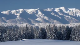 snow covered mountains