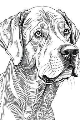 ((A coloring page of {Realistic Labrador Retriever} )), (masterpiece), (coloring page), line art drawing, minimalist, graphic, (line art), vector graphics, Clear and Distinct Lines, Intricate Patterns,Varied Line Weights, Smooth curves, Bold outlines, Crisp shapes