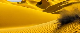 Golden yellow dunes with a cave designed in ancient Egyptian hieroglyphics painted by Diego Rivera
