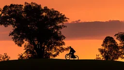 Silhouette of a lone rider on the green hill at sunrise