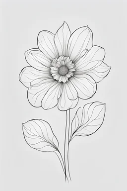 one big outline flower, white background
