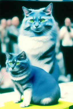 1990 dog show realistic (film Color Mission 200::10) photo disposable camera with a cat that has half a body of a blue ocean whale winning first prize