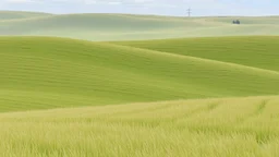 Gentle, rolling grasslands.