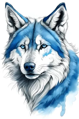 drawing of wolf with white and blue fur