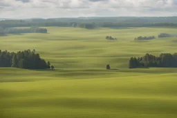 fields and forest and grassy flatlands