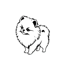 cute silhouette of a pomeranian , black on white vector