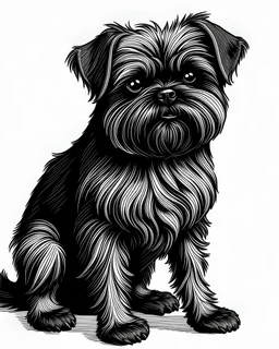 A line art of a dog (Affenpinscher). make this black and white and a bit filly. make the full image. make full body.