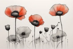 Minimalist ink pencil and charcoal drawing of poppies