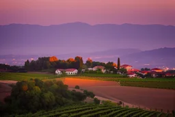 viñedos al atardecer con un pueblo al fondo, fotografía real, foto periodismo, fotografía realizada con una cámara Leica y un objetivo de 50mm