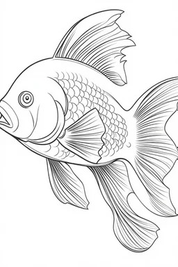 outline art for Fish coloring pages with sitch, white background, Sketch style, full body, only use outline, dementia patients style, clean line art, white background, no shadows and clear and well outlined.