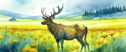 an Elk in a prairie canola field, anime watercolor