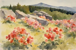 Sunny day, flowers, rocks, mountains, spring, winslow homer watercolor paintings