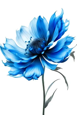 blue flower illustration defined and detailed with white background