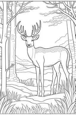 coloring page, woodland retreat, Majestic Deer in the Forest, full view, realistic, coloring page, only draw lines, coloring book, clean line art, –no sketch, color, –ar 3:4, white background, minimalistic black lines, minimal black color, low level black colors, coloring page, avoid thick black colors, thin black line art, avoid colors, perfect shape, perfect clear lines,