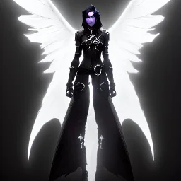 angel, demon, angel demon hybrid, half angel, half demon, black angel wings, white demon wings, black and white, balance, horns, armor, noble clothes, black and white armor, black and white clothes