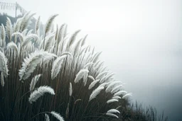 Ultra-realistic cinematic photo of tall pampas grass with white feathery plumes, swaying softly in the wind, beside a slow river reflecting the grey sky, soft mist rising, atmosphere of nostalgia, inner sadness and hidden beauty, detailed textures, emotional, enchanting, poetic landscape