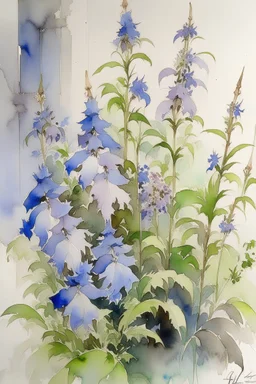 Watercolour of delphiniums in the style of willem henraets