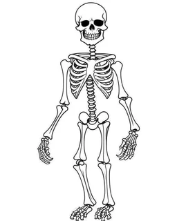 outline art for halloween coloring pages for kids with cartoon cute skeleton , white background, Sketch style, full body, only use outline, clean line art, white background, no shadows and clear and well outlined, coloring page for kids,