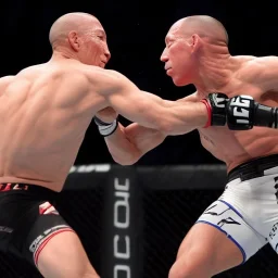 georges st pierre taking sterois