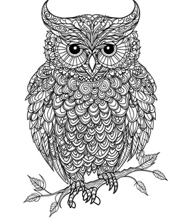 Owl, coloring page , full body (((((white background))))), only use an outline., real style, line art, white color, clean line art, white background, Sketch style