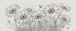 linework daisies, flowing in the wind, spring, simplified