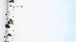 A background with white and birch color and a blue border