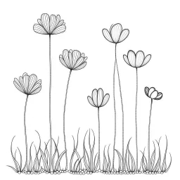 set of grow wind flower on the grace, SIMPLE ONE lineS art, white background, minimalis, different view, only white bakcground solid.