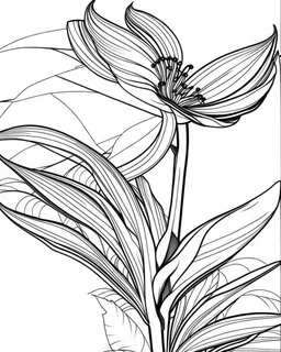 real massive Bird of Paradise flower coloring page