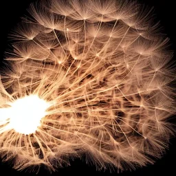 a fluffy dandelion on fire, with flying sparks around it, dreamlike minimalist art