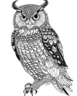 real massive big Owl, coloring page easy to color, full body (((((white background))))), only use an outline., real style, line art, white color, clean line art, white background, Sketch style