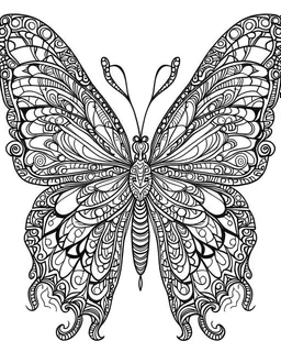 Page coloring book, mandala butterfly, white Background, clean line art