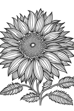 A cute and beautiful coloring page of sunflower